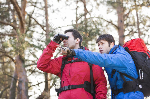 当朋友在森林里给他看东西时，他用双筒望远镜