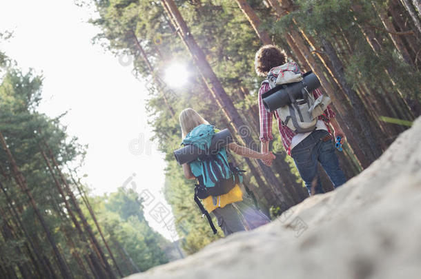 徒步情侣手牵手在森林中行走的后视图