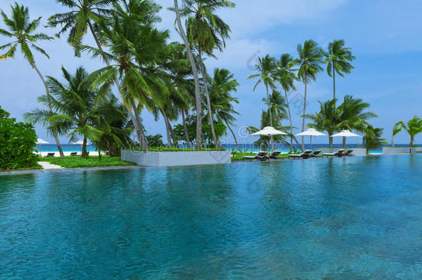 马尔代夫岛游泳池海滩度假村