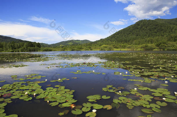 美丽的曼哲罗克山湖。