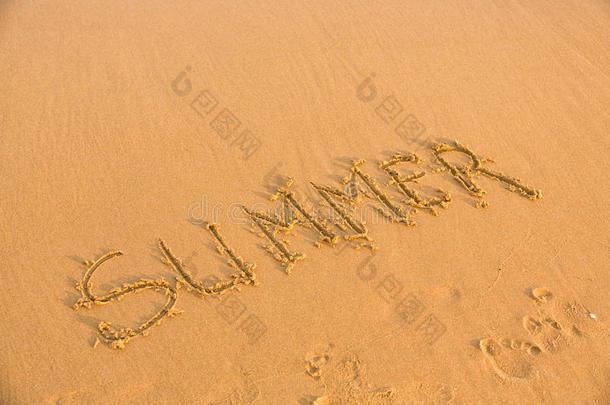 黄色沙滩上的夏日