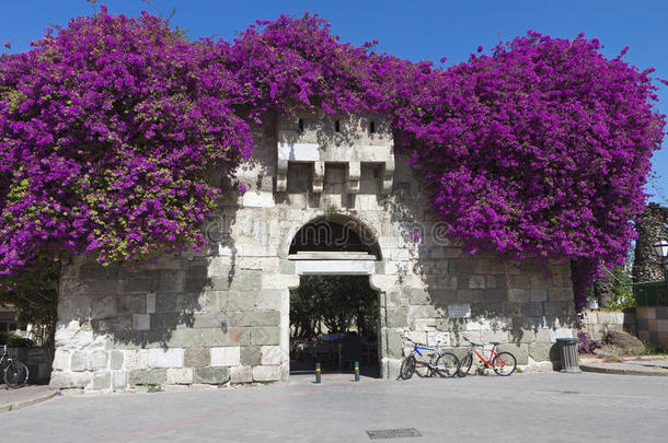 希腊科斯岛古堡门