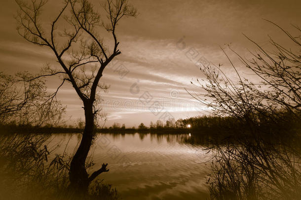 <strong>湖面</strong>上的日出映衬着<strong>湖面</strong>上光秃秃的树木。