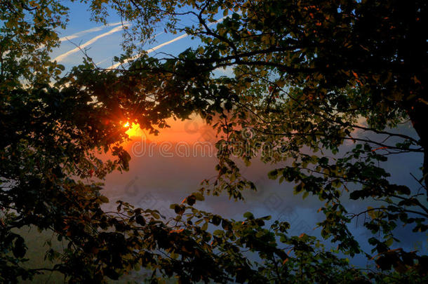 湖面上的日出映衬着湖面上光秃秃的树木。