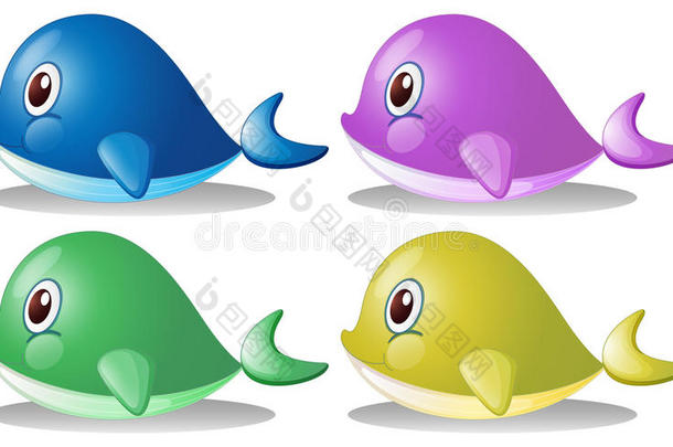 四条鲸鱼