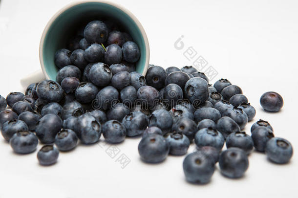贝尼瑟蓝莓饮食迪塔密语