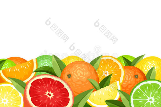 水平无缝背景与柑橘类水果。矢量图。