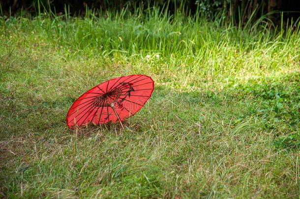 湖北<strong>恩施</strong>市草坪上的一把红伞