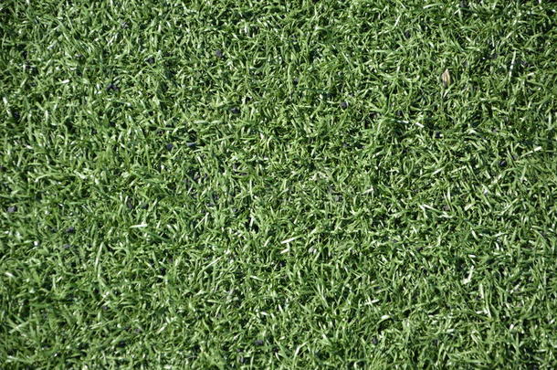 草坪足球场（足球场、绿草）