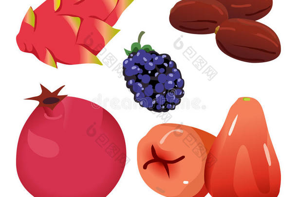 红枣、龙果、黑莓、石榴和红枣