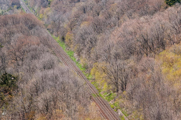 森林里的一对笔直的火车轨道。