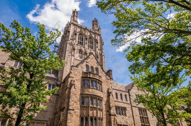 美国康涅狄格州纽黑文，夏日蓝天下的耶鲁大学建筑