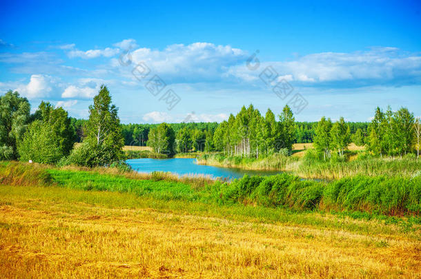 夏天的森林小湖和天空