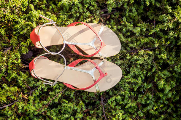 女人夏天的凉鞋躺在草地上