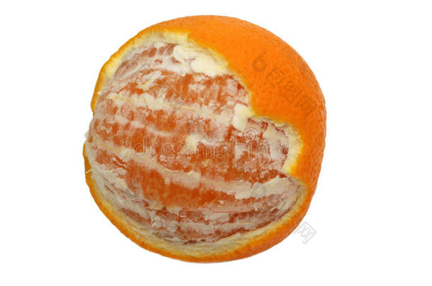 白底橘子果