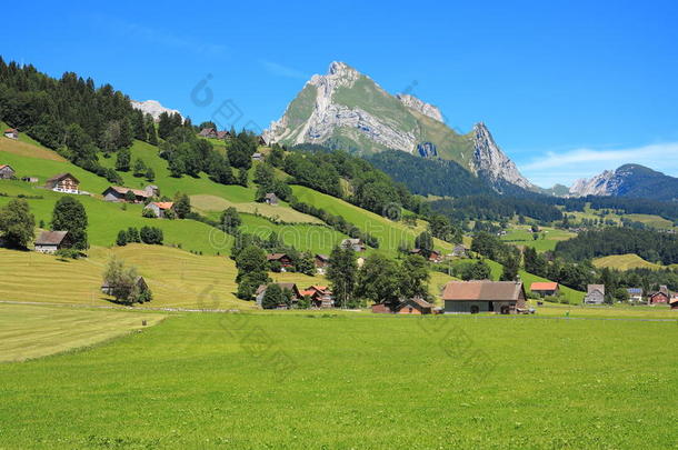瑞士阿尔卑斯山区的<strong>绿色生活</strong>