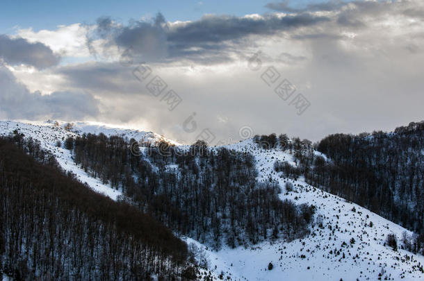 塞尔维亚最大的山脉kopaonik冬季旅游胜地的山坡。这是一个有美丽松树的国家公园