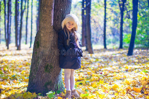 可爱的小女孩在温暖晴朗的秋日户外活动