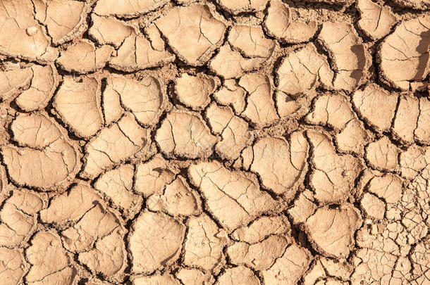 土地在干旱中干涸了