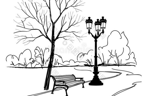 公园里的长椅上有树和街道。城市公园景观。