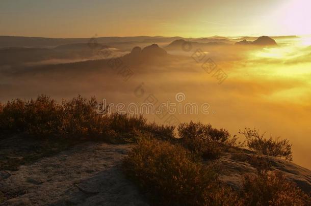 在石南丛生的浓雾中俯瞰山谷。山峰从秋天的山峰增加了雾气笼罩的乡间咆哮，雾气斑驳。