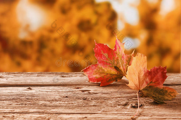 两片秋叶放在户外一张古朴的桌子上