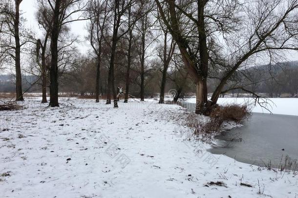 埃斯德比登雪