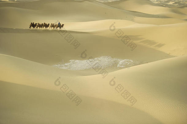 内蒙古巴丹吉林沙漠大篷车骆驼