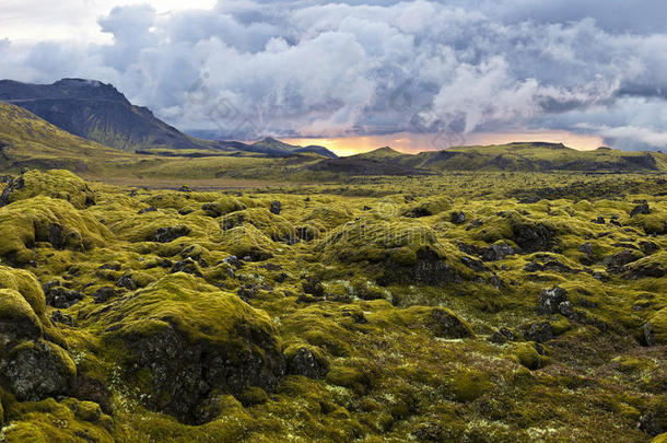 冰岛日落时苔藓丛生的超现实景观