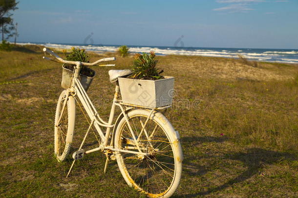 沙滩上的旧白色自行车