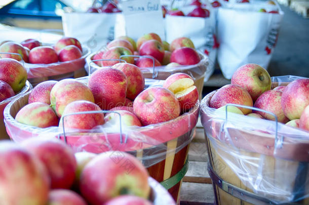大蒲式耳篮子里装满了当地种植的新鲜红苹果