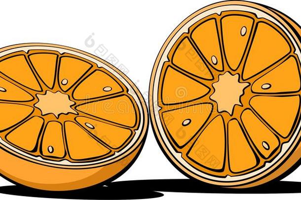 橙色水果插图图片库