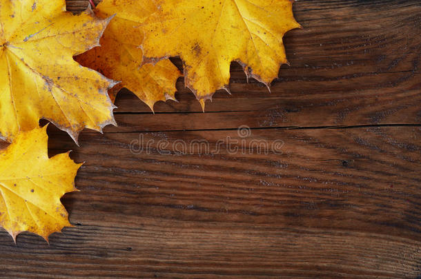 秋天的背景，木板上的枫叶