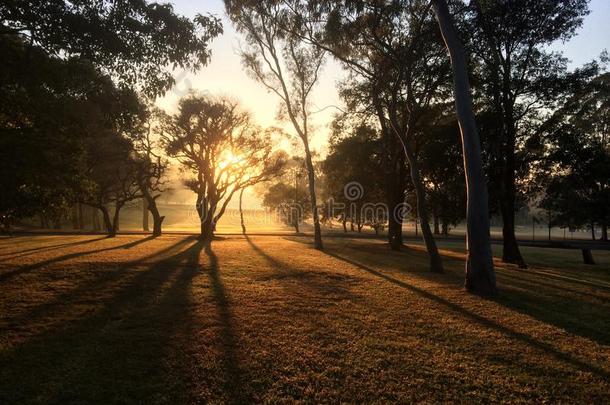 澳大利亚校园麦格理早晨自然