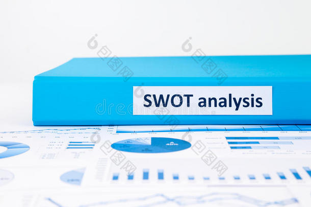 运用swot分析和业务g对项目进行评估和规划