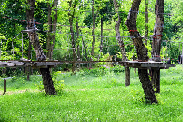 森林训练营的绳索吊桥
