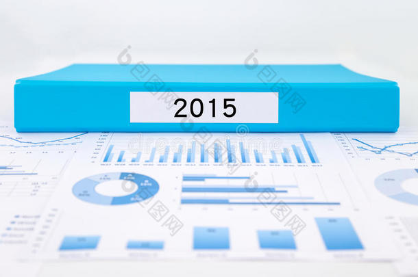 2015年，图表和财务分析报告
