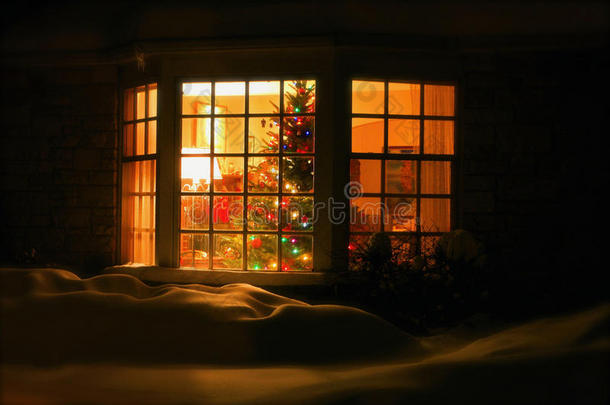 欢迎回家窗前的圣诞树