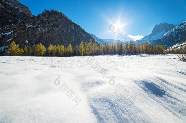 晴天的山景，雪地里有落叶松。初冬下雪，晚秋下雪。