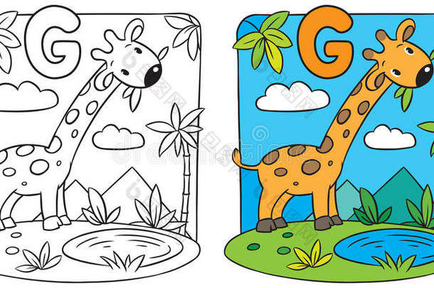 长颈鹿画册。字母表g