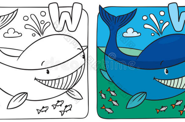 小鲸鱼画册。字母w