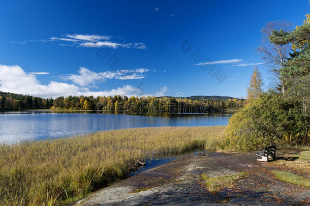挪威海岸秋湖长凳