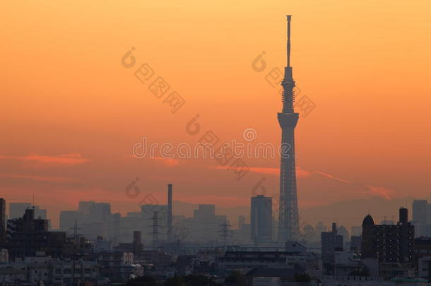 东京天空树