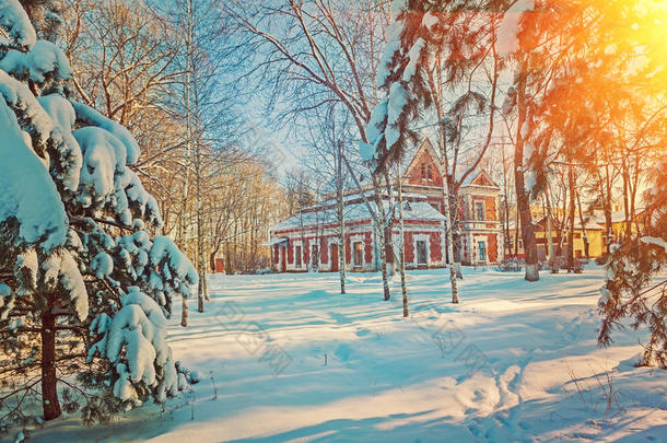 冬季白雪覆盖的乡村阳光景观instagram stile