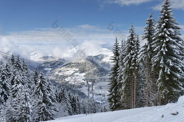 高山滑雪场森林景观