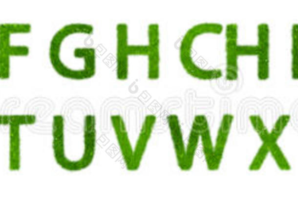 绿色环保字母