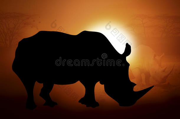 夕阳下犀牛的剪影
