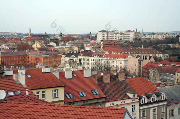 布拉格市的屋顶