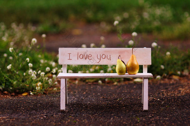 我爱你。坐在长椅上的情侣