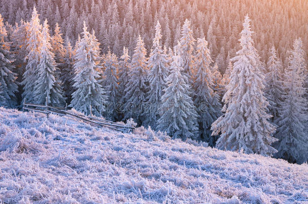 山林中美丽的冬日日出。